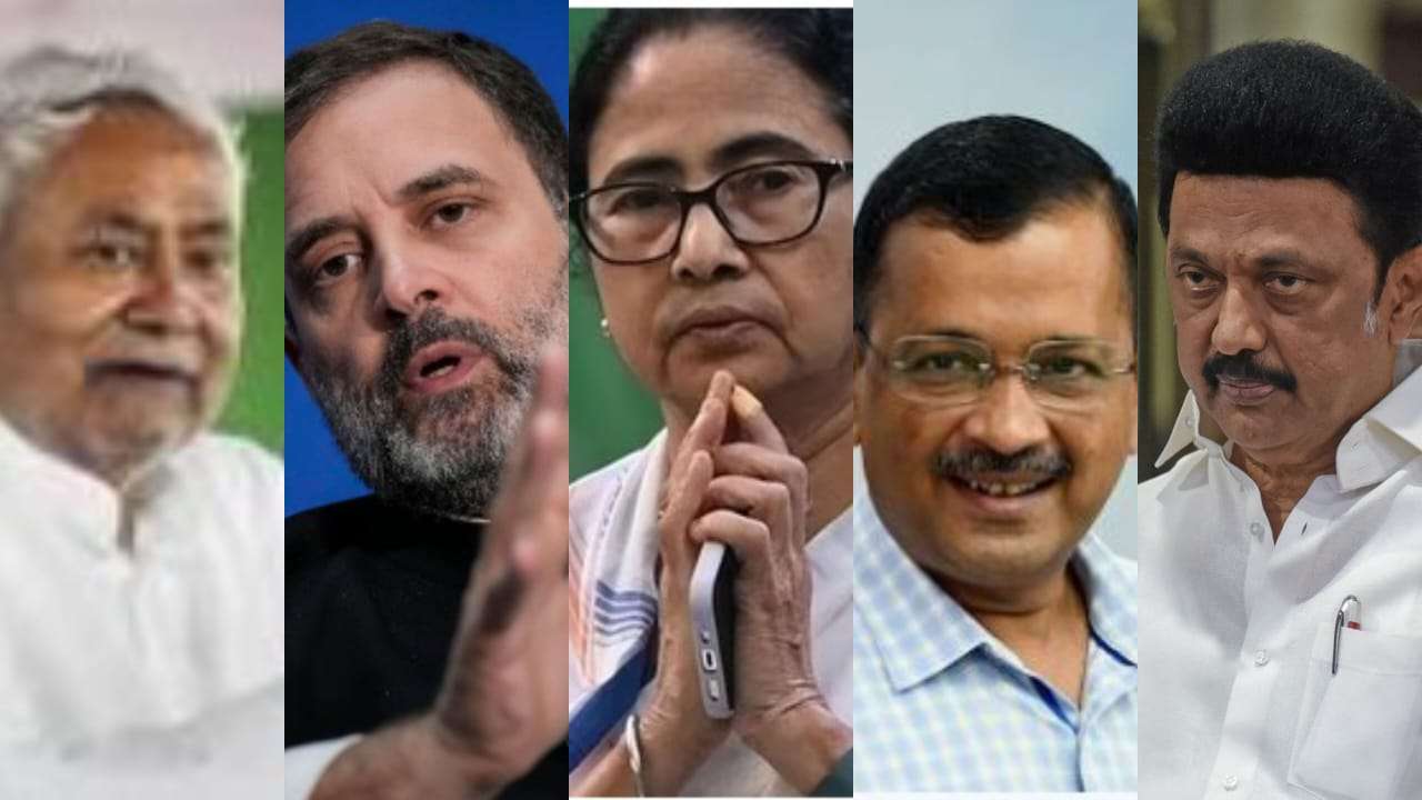 WhatsApp Image 2023-06-09 at 1.22.53 PM