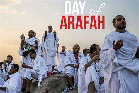 arafa