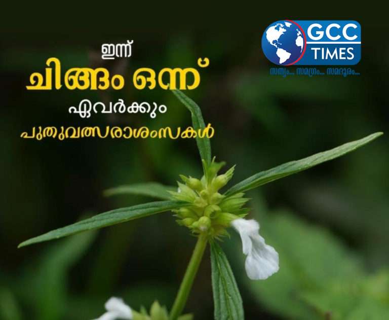 Chingam-1