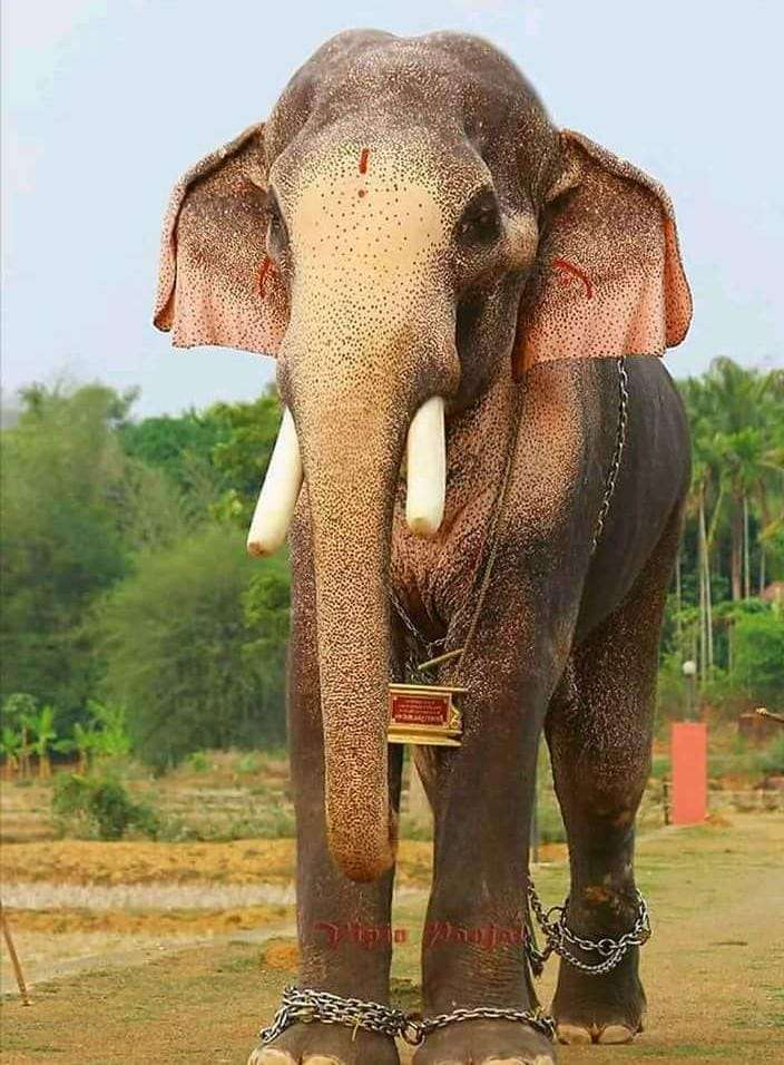 WhatsApp Image 2023-09-14 at 9.28.23 PM