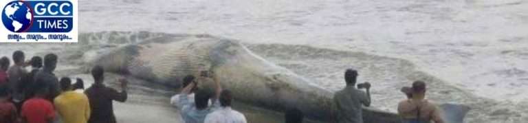 WhatsApp Image 2023-09-30 at 7.40.27 PM
