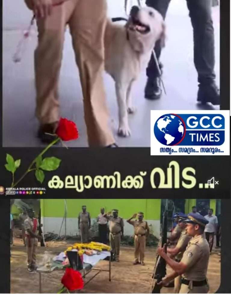 WhatsApp Image 2023-12-02 at 6.54.08 PM