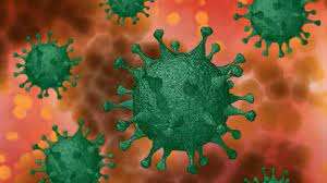 covid corona virus