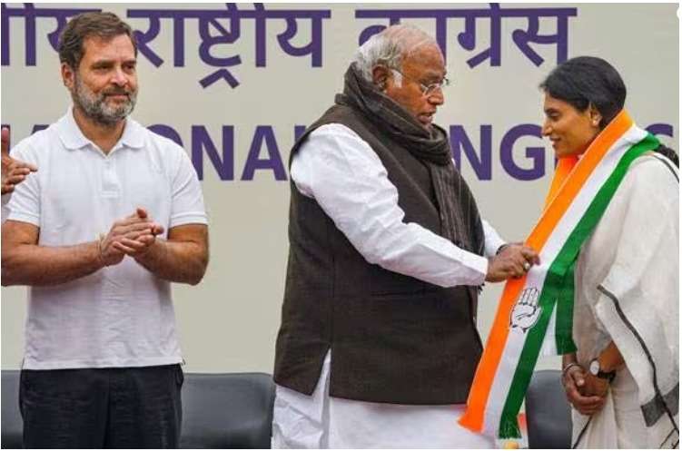 WhatsApp Image 2024-01-04 at 4.37.58 PM