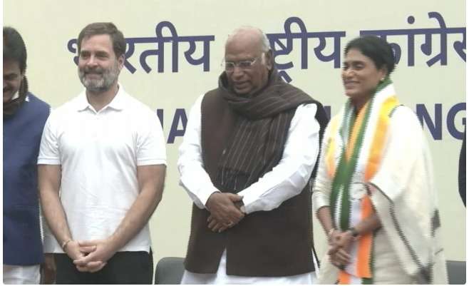 WhatsApp Image 2024-01-16 at 3.54.18 PM