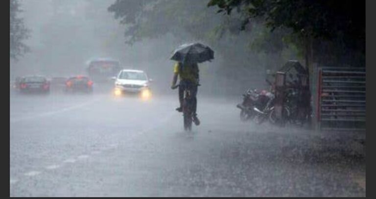 WhatsApp Image 2024-10-10 at 7.28.00 PM