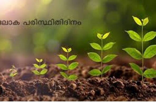 WhatsApp Image 2026-06-05 at 11.26.38 AM