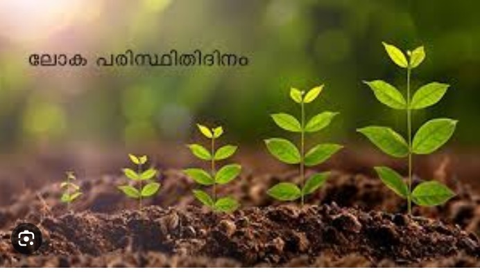 WhatsApp Image 2026-06-05 at 11.26.38 AM